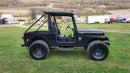 2019 MAHINDRA ROXOR HD - Used