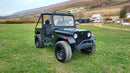 2019 MAHINDRA ROXOR HD - Used