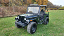 2019 MAHINDRA ROXOR HD - Used