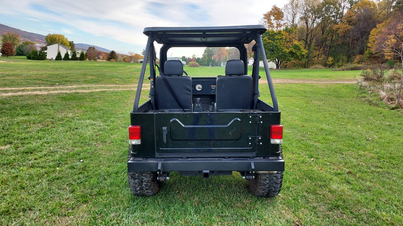 2019 MAHINDRA ROXOR HD - Used