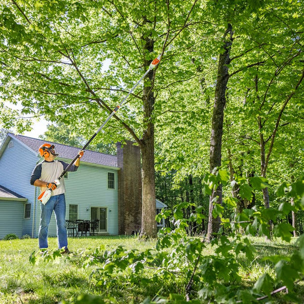 STIHL HTA 86 Battery Pole Pruner