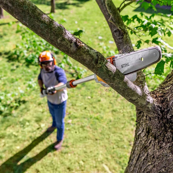 STIHL HTA 86 Battery Pole Pruner