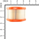 Briggs & Stratton 595853 Genuine OEM Air Filter for Model 125 Engines