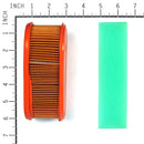 Briggs & Stratton 795066 and 796254 Genuine OEM Air Filter Kit for Single Cylinder Professional Series
